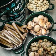 Speciál mušlí 1+1 Zdrama